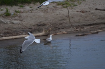 2015_05_29_163845.jpg
