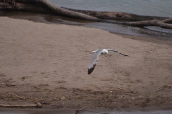 2015_05_24_170413.jpg