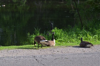 2015_05_26_084020.jpg