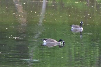 2015_05_26_084117.jpg