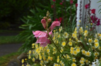 2016_11_13_094443.jpg