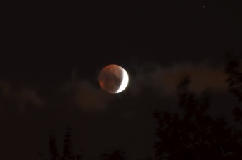2014_10_08_061305.jpg