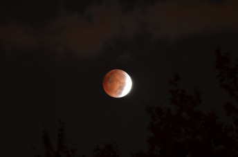 2014_10_08_061411.jpg