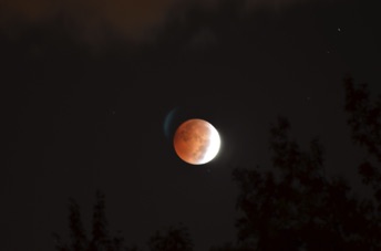 2014_10_08_061447.jpg