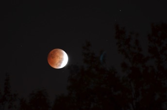 2014_10_08_061554.jpg