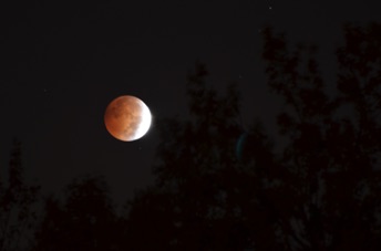 2014_10_08_061651.jpg
