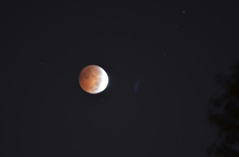 2014_10_08_062045.jpg