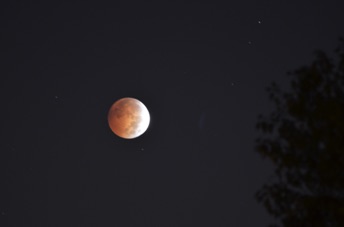 2014_10_08_062315.jpg