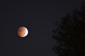 2014_10_08_062355.jpg
