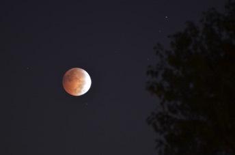 2014_10_08_062504.jpg