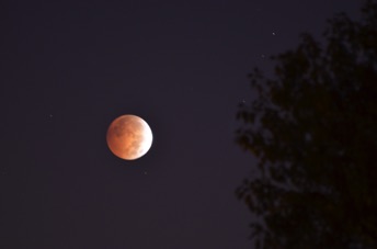 2014_10_08_062531.jpg
