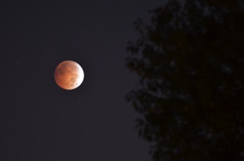 2014_10_08_062650.jpg