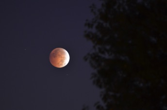 2014_10_08_062912.jpg