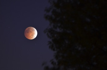 2014_10_08_062956.jpg