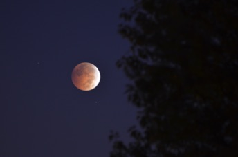 2014_10_08_063132.jpg