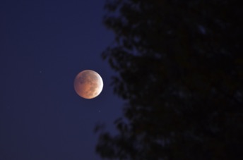2014_10_08_063327.jpg