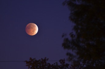2014_10_08_063427.jpg