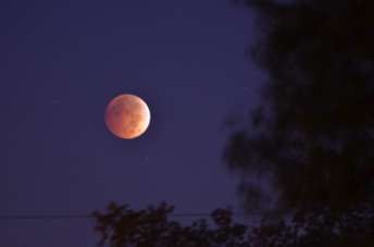 2014_10_08_063533.jpg