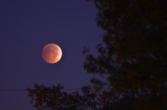 2014_10_08_063655.jpg