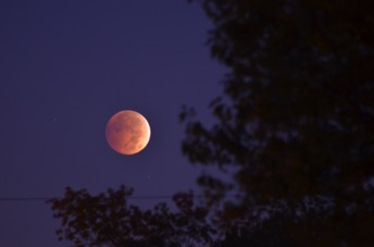 2014_10_08_063805.jpg