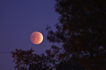 2014_10_08_063917.jpg