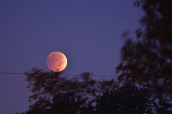 2014_10_08_064050.jpg