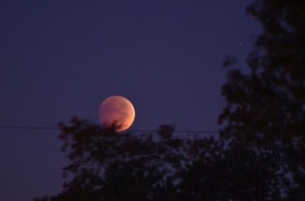 2014_10_08_064128.jpg