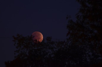 2014_10_08_064240.jpg