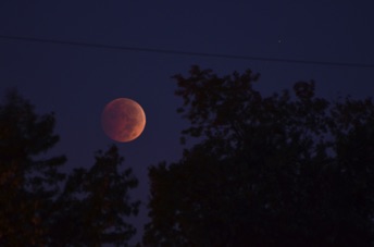 2014_10_08_064359.jpg