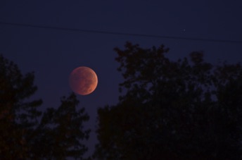 2014_10_08_064423.jpg