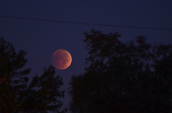 2014_10_08_064446.jpg