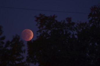 2014_10_08_064548.jpg