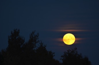 2016_10_15_175935.jpg