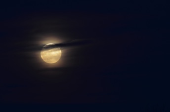 2016_10_15_180840.jpg
