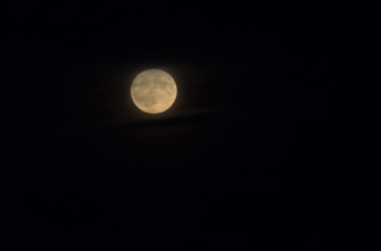 2016_10_15_181130.jpg